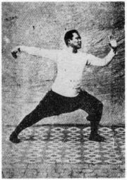 Illustration of five tai chi movements. (A) Brush Knee and Twist Steps;